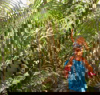 Canungra - Maitland Accommodation