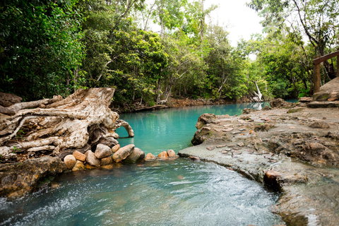 Cardwell Spa Pool - Maitland Accommodation 1