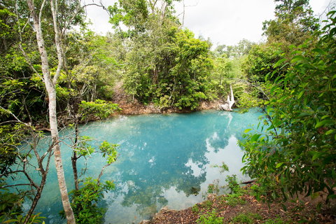 Cardwell Spa Pool - Maitland Accommodation 2