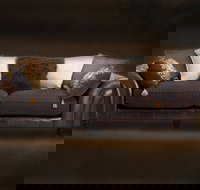 Cargo Lane - Maitland Accommodation