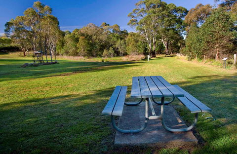 Cecil Hoskins Picnic Area - Maitland Accommodation 0