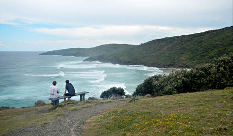 Connors Walking Track - Maitland Accommodation 0