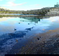 Conjola National Park - Maitland Accommodation