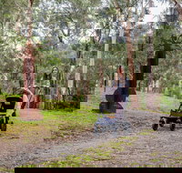 Currawong Bush Park - Maitland Accommodation