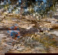 Cycle Mogo State Forest - Maitland Accommodation