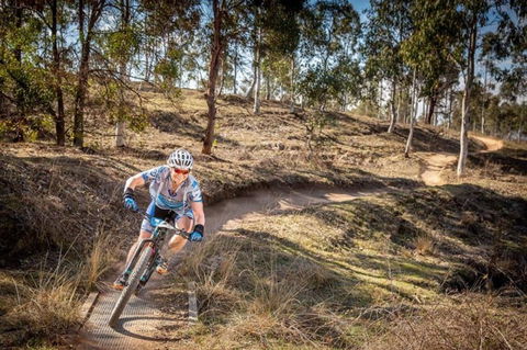 Cycle Mogo State Forest - Maitland Accommodation 0