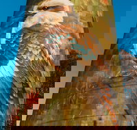 Deniliquin Water Tower Mural - Maitland Accommodation