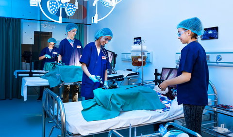 DreamCity - Maitland Accommodation 0