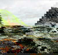 Glenrock State Conservation Area - Maitland Accommodation