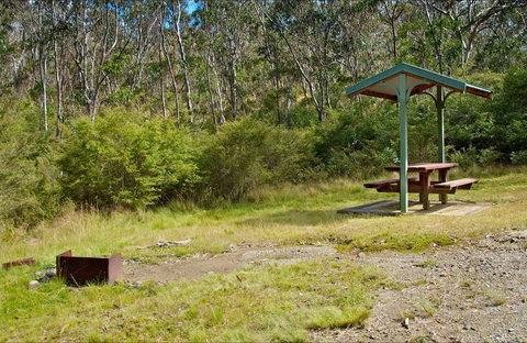 Gloucester Tops Picnic Area - Maitland Accommodation 0