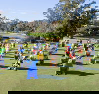 Hello Koalas Sculpture Trail - Maitland Accommodation