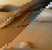 Hermannsburg Potters - Maitland Accommodation