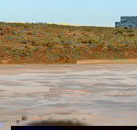 Inside Australia - Antony Gormley Sculptures - Maitland Accommodation