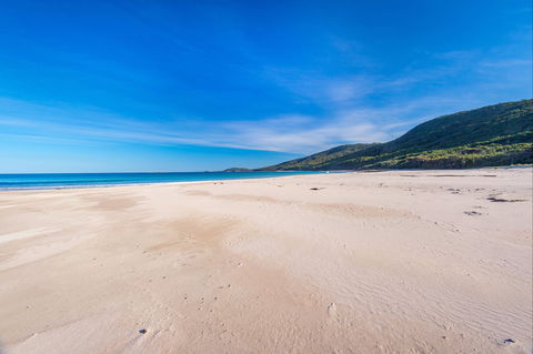 Island Beach - Maitland Accommodation 0