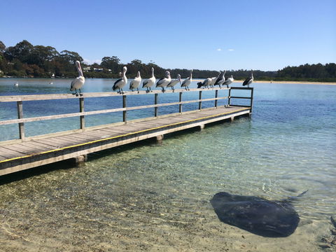 Kayaking Tomaga River - Maitland Accommodation 2
