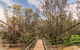 Lachlan River Swing Bridge - thumb 0