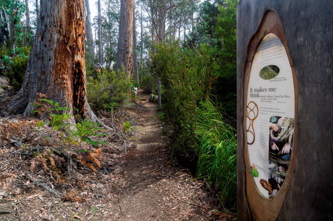 Lake St Clair (Cradle Mountain  - Lake St Clair National Park) - Maitland Accommodation 2