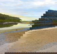 Mangrove Walk - Maitland Accommodation