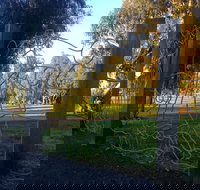 Mansfield Botanic Park - Maitland Accommodation