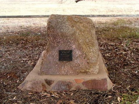 May Gibbs Tree - Maitland Accommodation 0