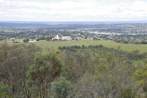 McIlveen Park Lookout - Maitland Accommodation 1
