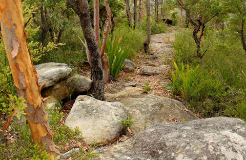 Mount Olive Trail - Maitland Accommodation 0