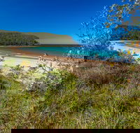 North Durras Beach - Maitland Accommodation