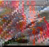 Nowra Street Art Murals - Maitland Accommodation