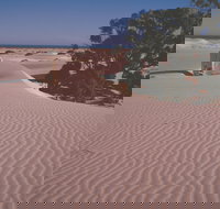 Nullarbor Plain - Maitland Accommodation