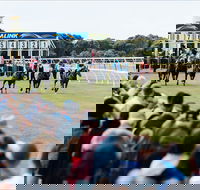 Oakbank - Maitland Accommodation