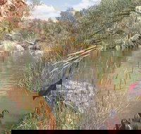 Palm Springs - Maitland Accommodation