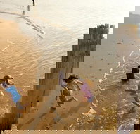 Phillip Island - Maitland Accommodation