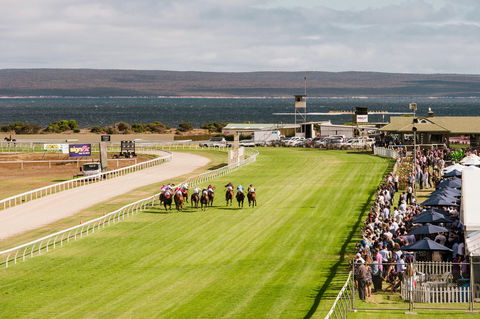 Port Lincoln Racing Club Inc - Maitland Accommodation 0