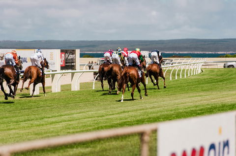 Port Lincoln Racing Club Inc - Maitland Accommodation 1
