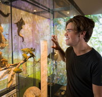 Queensland Museum - Maitland Accommodation