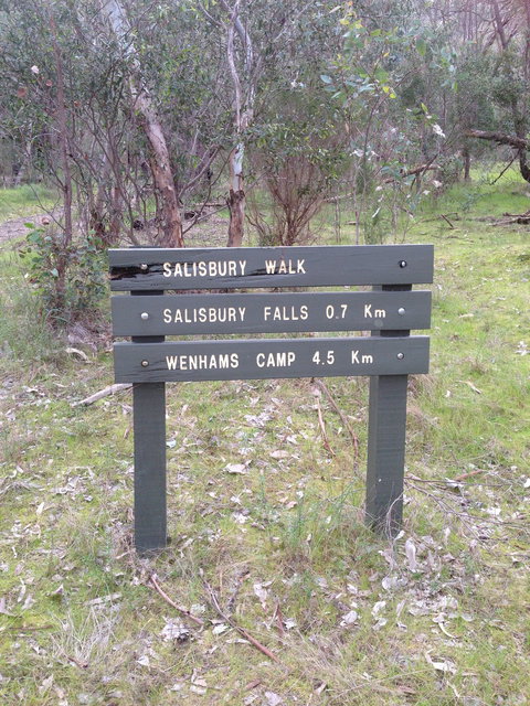 Salisbury Falls Walk - Maitland Accommodation 0