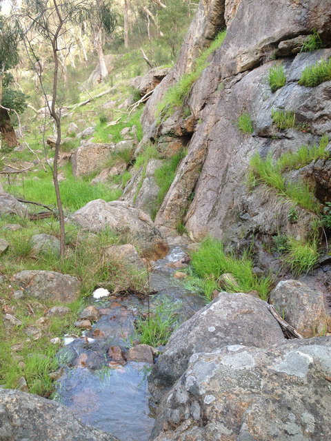 Salisbury Falls Walk - Maitland Accommodation 2