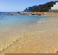 Shelly Beach Picnic Area - Moruya Heads - Maitland Accommodation
