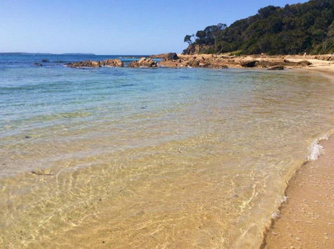 Shelly Beach Picnic Area - Moruya Heads - Maitland Accommodation 0