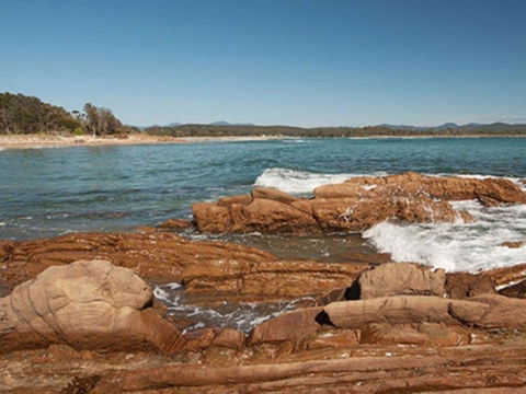 Shelly Beach Picnic Area - Moruya Heads - Maitland Accommodation 1