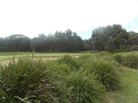 Shoalhaven Heads Golf Club - Maitland Accommodation 0