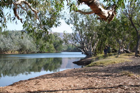 Silent Grove - Maitland Accommodation 0