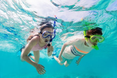 Snorkel Hat Head Creek - Maitland Accommodation 0