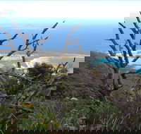 Strzelecki Peaks Great Short Walk - Maitland Accommodation