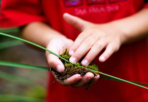 Strickland State Forest - Maitland Accommodation 1