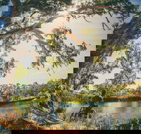 Sturt Gorge Recreation Park - Maitland Accommodation