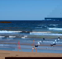 Surf Beach Batemans Bay - Maitland Accommodation