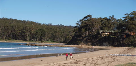 Surf Beach Batemans Bay - Maitland Accommodation 1