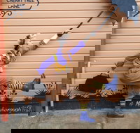 The Story Bank - Maitland Accommodation