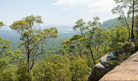 The Narrow Place Lookout - Maitland Accommodation 0